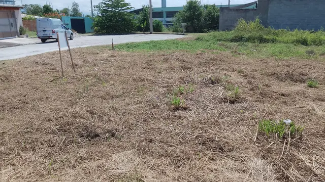 Terreno à venda no Loteamento Portal dos Pássaros - Caraguatatuba / SP - Cod. TE0146 — foto 11