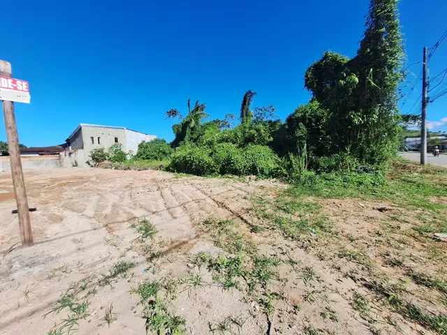 Terreno à venda no Jardim das Gaivotas - Caraguatatuba / SP - Cod. TE0551 — foto 17