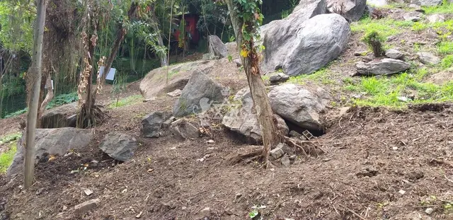 Terreno à venda na Siriúba - Ilhabela / SP - Cod. TE0121 — foto 11