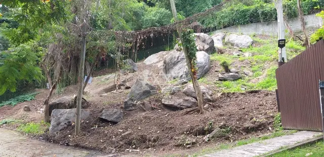 Terreno à venda na Siriúba - Ilhabela / SP - Cod. TE0121 — foto 12