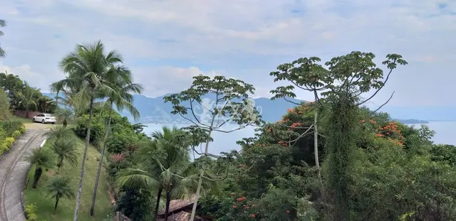 Terreno à venda na Siriúba - Ilhabela / SP - Cod. TE0121 — foto 4