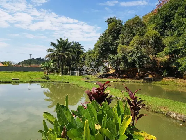 Chácara à venda em Getuba - Caraguatatuba / SP - Cod. CH0004 — foto 18