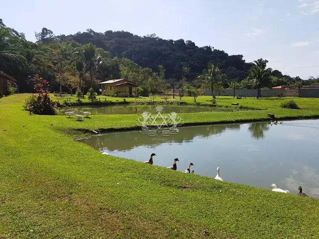 Chácara à venda em Getuba - Caraguatatuba / SP - Cod. CH0004 — foto 17