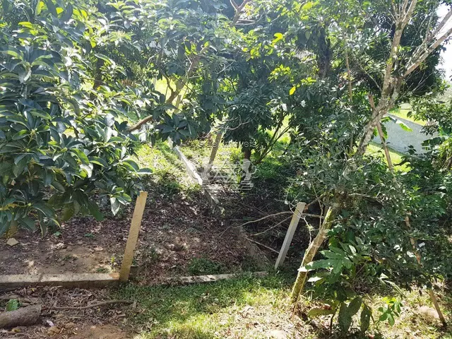 Chácara à venda em Getuba - Caraguatatuba / SP - Cod. CH0004 — foto 8