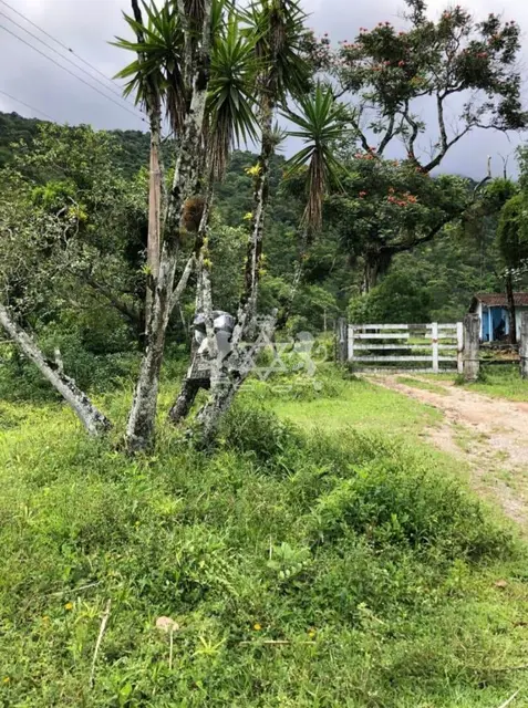 Terreno à venda no Massaguaçu - Caraguatatuba / SP - Cod. TE0059 — foto 23