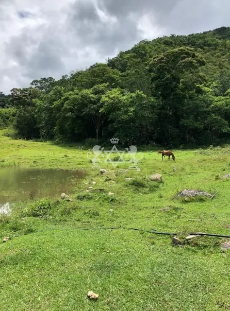 Terreno à venda no Massaguaçu - Caraguatatuba / SP - Cod. TE0059 — foto 28