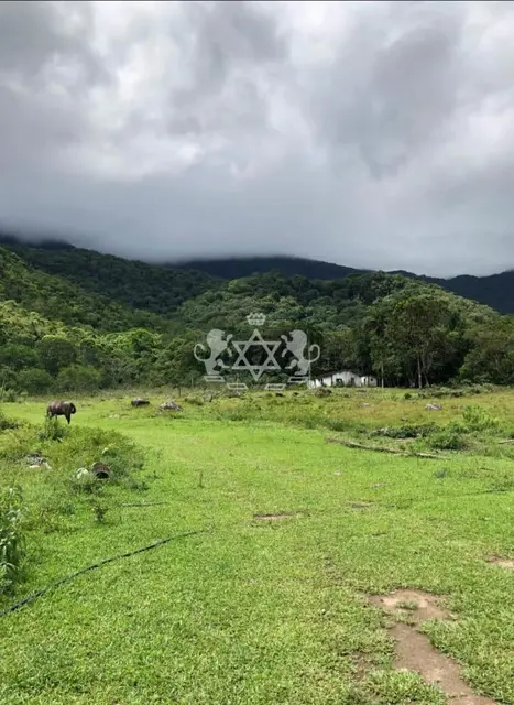 Terreno à venda no Massaguaçu - Caraguatatuba / SP - Cod. TE0059 — foto 29