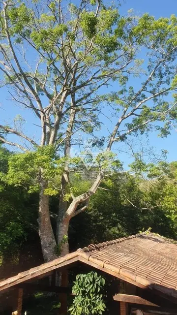 Sítio à venda no Km 101 - Salesópolis / SP - Cod. SI0002 — foto 4
