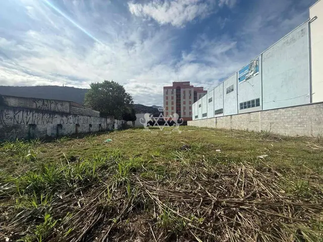 Terreno à venda no Centro - Caraguatatuba / SP - Cod. TE0049 — foto 11