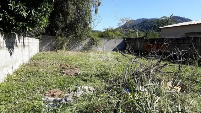 Terreno à venda em Getuba - Caraguatatuba / SP - Cod. TE0105 — foto 6