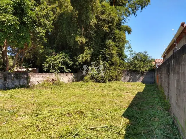 Terreno à venda em Getuba - Caraguatatuba / SP - Cod. TE0105 — foto 16