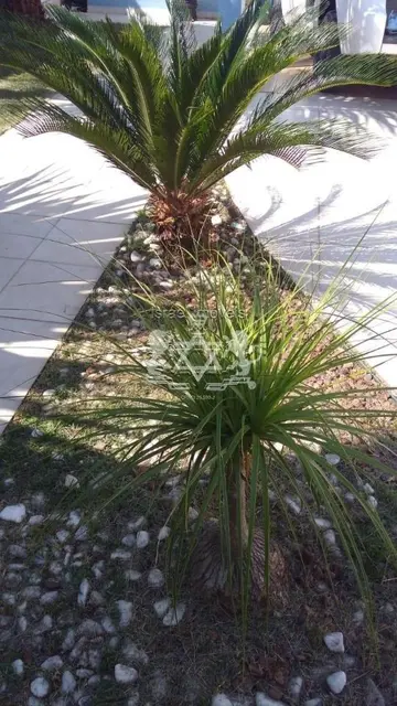 Casa à venda no Jardim Britânia - Caraguatatuba / SP - Cod. CA0188 — foto 3