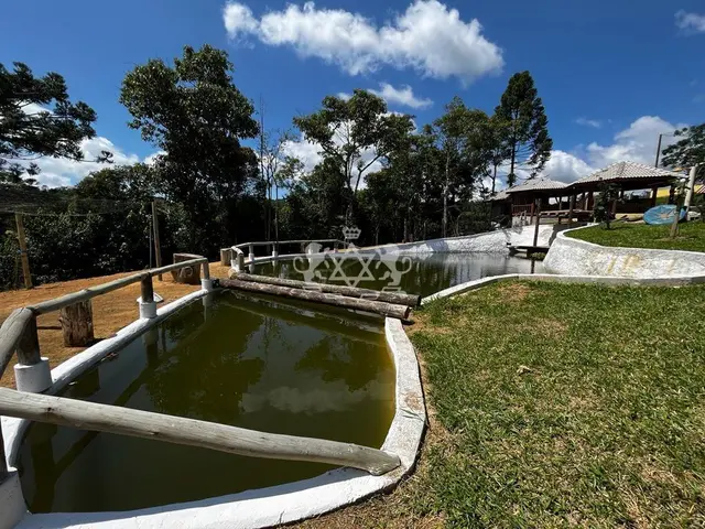 Sítio à venda no Cedro - Paraibuna / SP - Cod. SI0005 — foto 25