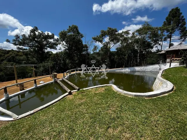 Sítio à venda no Cedro - Paraibuna / SP - Cod. SI0005 — foto 28