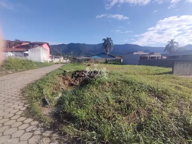 Terreno à venda em Getuba - Caraguatatuba / SP - Cod. TE0129 — foto 8