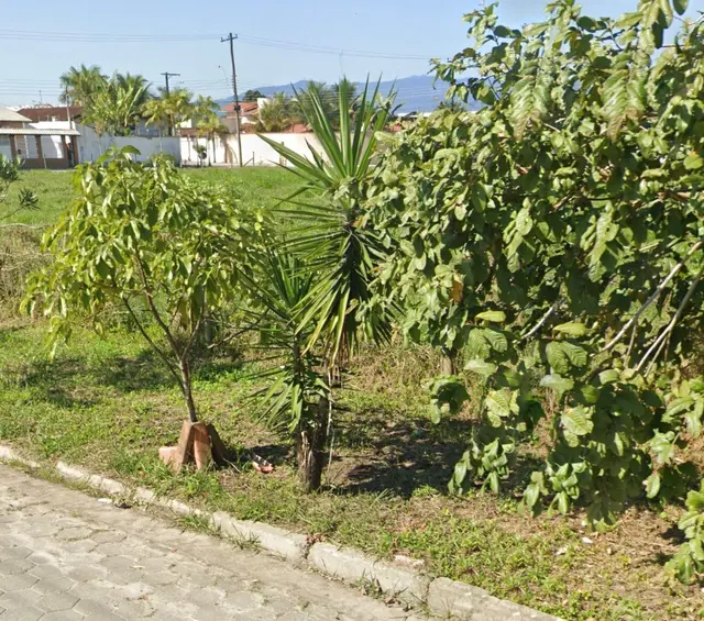 Terreno à venda no Pontal de Santa Marina - Caraguatatuba / SP - Cod. TE0579 — foto 6