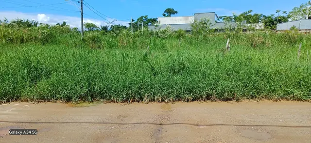 Terreno à venda no Loteamento Morada do Mar - Caraguatatuba / SP - Cod. TE0548 — foto 5