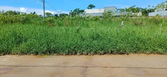 Terreno à venda no Loteamento Morada do Mar - Caraguatatuba / SP - Cod. TE0548 — foto 10