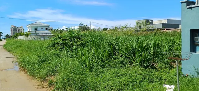Terreno à venda no Loteamento Morada do Mar - Caraguatatuba / SP - Cod. TE0548 — foto 13
