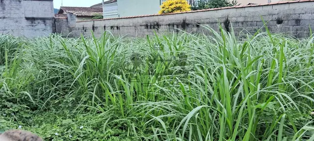 Terreno à venda na Vila Atlântica - Caraguatatuba / SP - Cod. TE0581 — foto 2