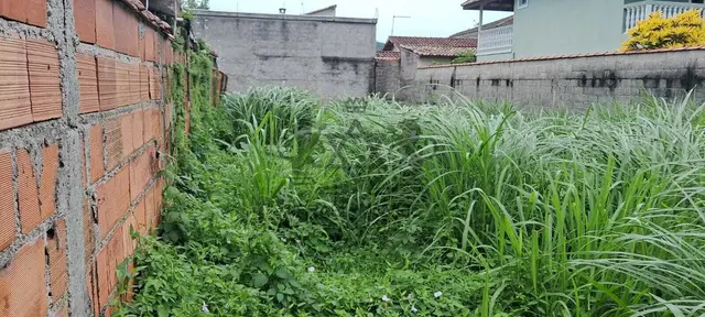 Terreno à venda na Vila Atlântica - Caraguatatuba / SP - Cod. TE0581 — foto 4