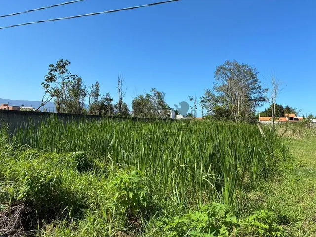 Terreno de 360m² | Venda | Morro do Algodão — foto 6