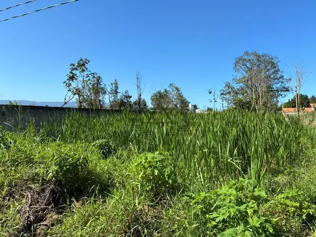 Terreno de 360m² | Venda | Morro do Algodão — foto 5