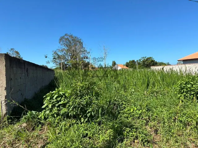 Terreno de 360m² | Venda | Morro do Algodão — foto 4