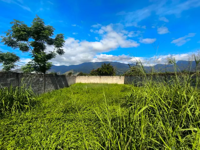 Terreno à venda no Loteamento Portal dos Pássaros - Caraguatatuba / SP - Cod. TE0567 — foto 7
