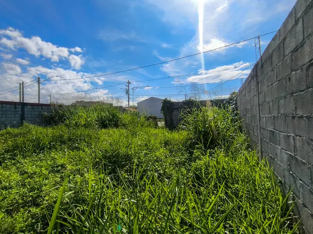 Terreno à venda no Loteamento Portal dos Pássaros - Caraguatatuba / SP - Cod. TE0567 — foto 6