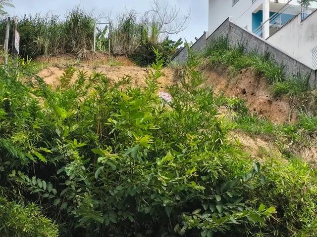 Terreno à venda no São Francisco da Praia - São Sebastião / SP - Cod. TE0147 — foto 19
