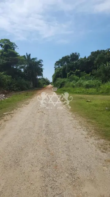 Terreno à venda no Massaguaçu - Caraguatatuba / SP - Cod. TE0065 — foto 6