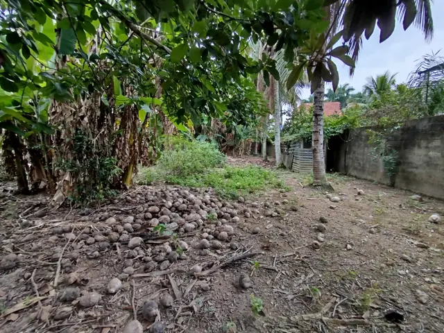Terreno à venda na Praia das Palmeiras - Caraguatatuba / SP - Cod. TE0566 — foto 3