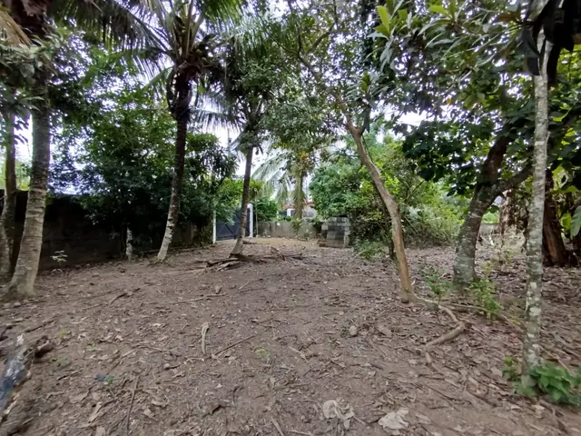 Terreno à venda na Praia das Palmeiras - Caraguatatuba / SP - Cod. TE0566 — foto 2