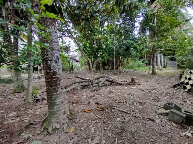 Terreno à venda na Praia das Palmeiras - Caraguatatuba / SP - Cod. TE0566 — foto 13