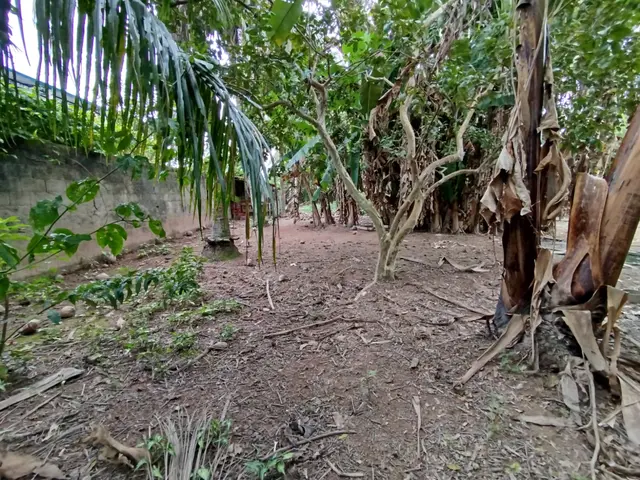 Terreno à venda na Praia das Palmeiras - Caraguatatuba / SP - Cod. TE0566 — foto 8