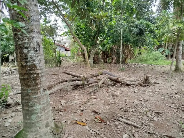 Terreno à venda na Praia das Palmeiras - Caraguatatuba / SP - Cod. TE0566 — foto 16