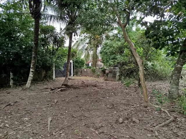 Terreno à venda na Praia das Palmeiras - Caraguatatuba / SP - Cod. TE0566