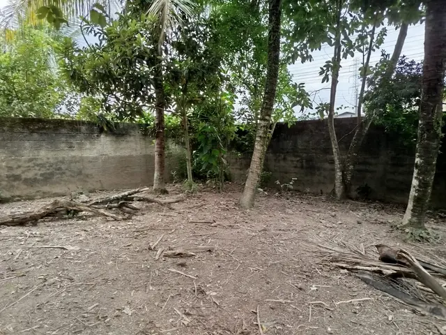 Terreno à venda na Praia das Palmeiras - Caraguatatuba / SP - Cod. TE0566 — foto 18