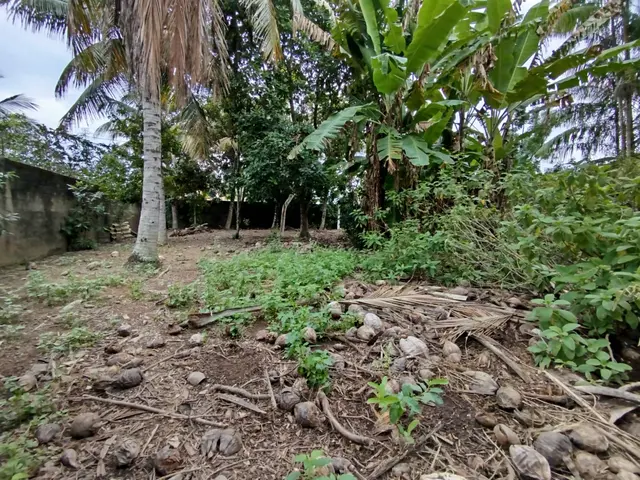 Terreno à venda na Praia das Palmeiras - Caraguatatuba / SP - Cod. TE0566 — foto 11