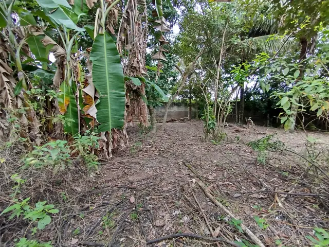 Terreno à venda na Praia das Palmeiras - Caraguatatuba / SP - Cod. TE0566 — foto 20