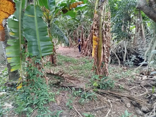Terreno à venda na Praia das Palmeiras - Caraguatatuba / SP - Cod. TE0566 — foto 10