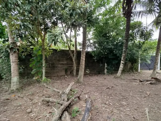 Terreno à venda na Praia das Palmeiras - Caraguatatuba / SP - Cod. TE0566 — foto 17
