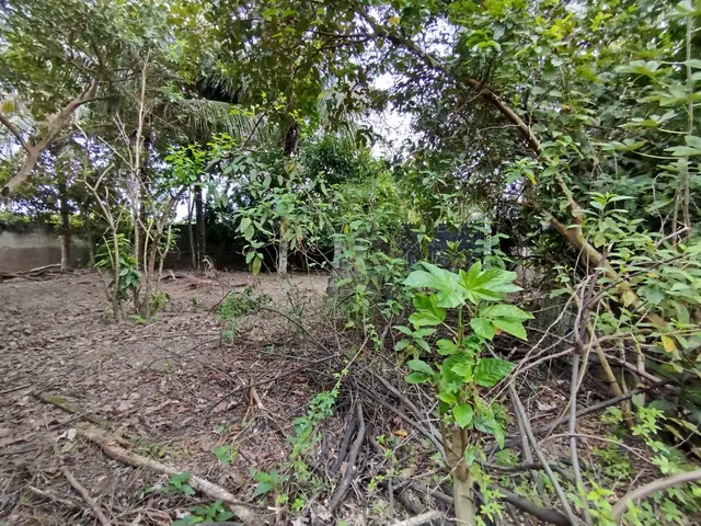 Terreno à venda na Praia das Palmeiras - Caraguatatuba / SP - Cod. TE0566 — foto 21