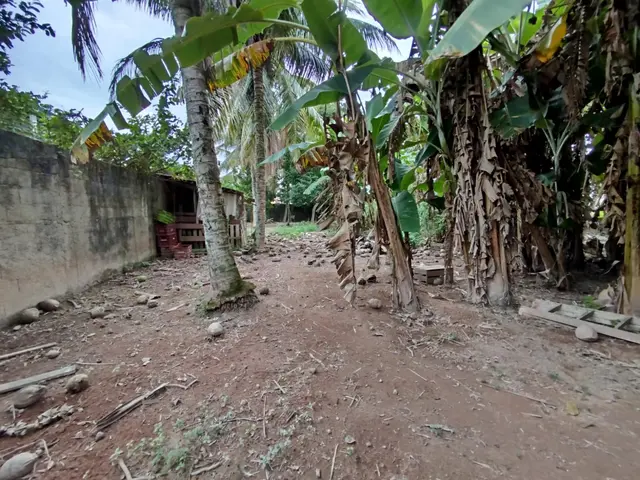 Terreno à venda na Praia das Palmeiras - Caraguatatuba / SP - Cod. TE0566 — foto 9
