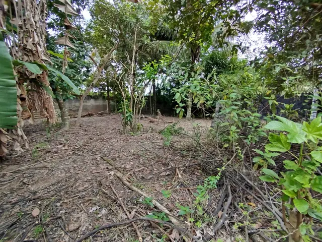 Terreno à venda na Praia das Palmeiras - Caraguatatuba / SP - Cod. TE0566 — foto 19