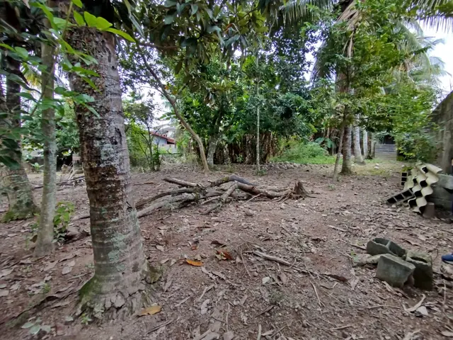 Terreno à venda na Praia das Palmeiras - Caraguatatuba / SP - Cod. TE0566 — foto 15