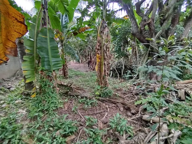 Terreno à venda na Praia das Palmeiras - Caraguatatuba / SP - Cod. TE0566 — foto 7