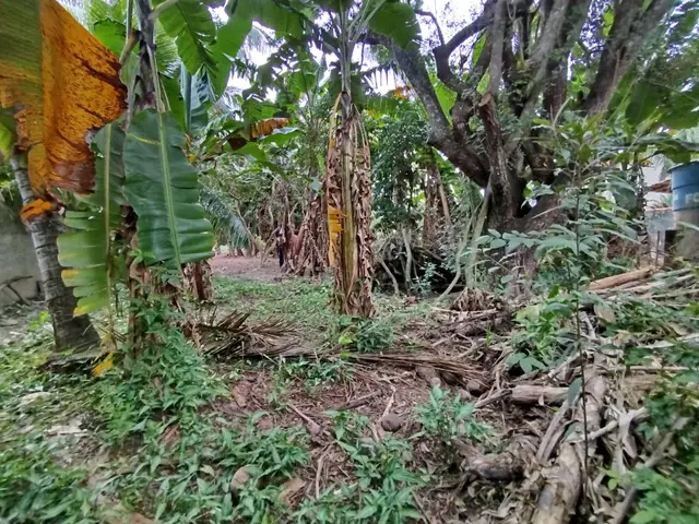 Terreno à venda na Praia das Palmeiras - Caraguatatuba / SP - Cod. TE0566 — foto 6