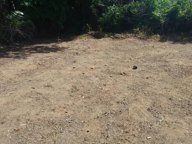 Terreno à venda no Massaguaçu - Caraguatatuba / SP - Cod. TE0142 — foto 19